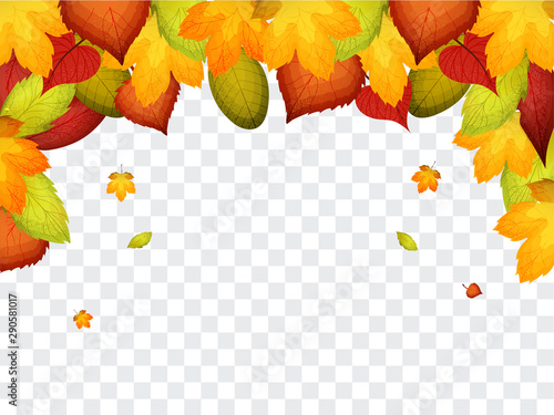Vector background with red, orange, brown and yellow falling autumn leaves.