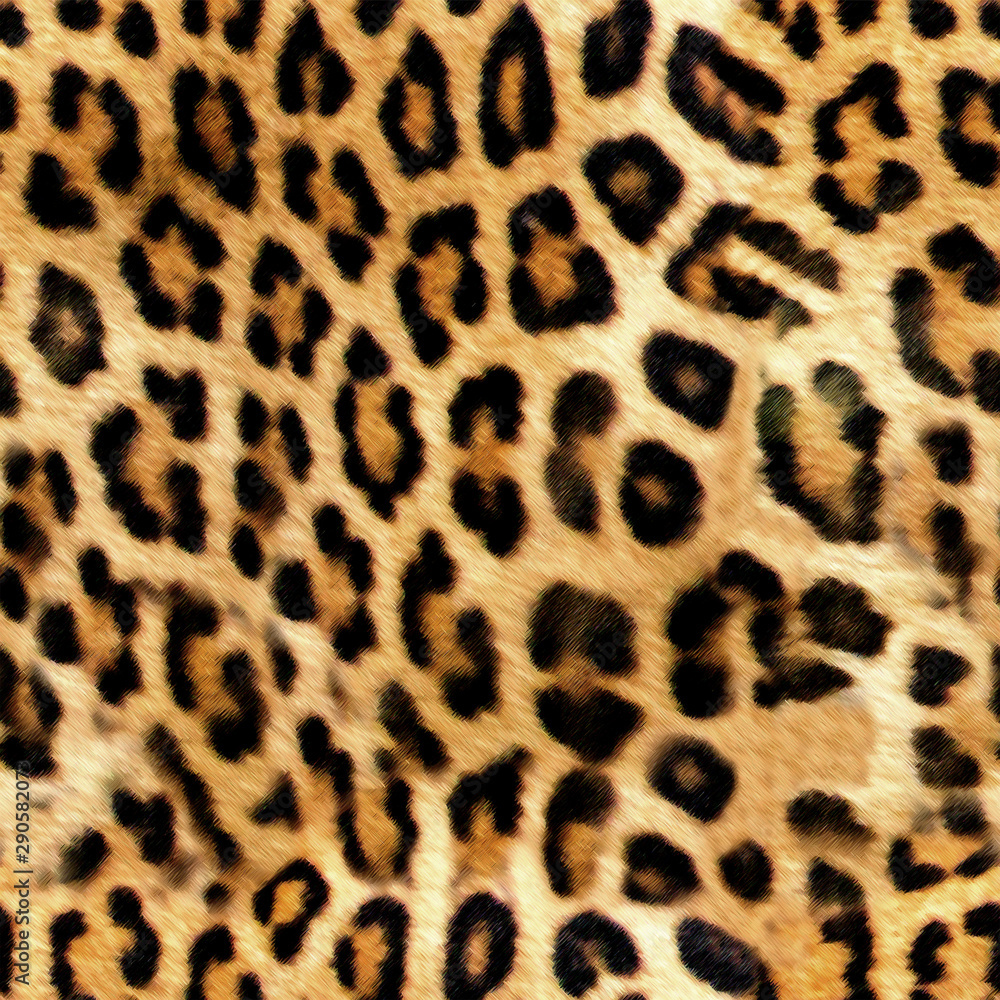 Leopard skin print pattern colored design Leopard skin print pattern colored design