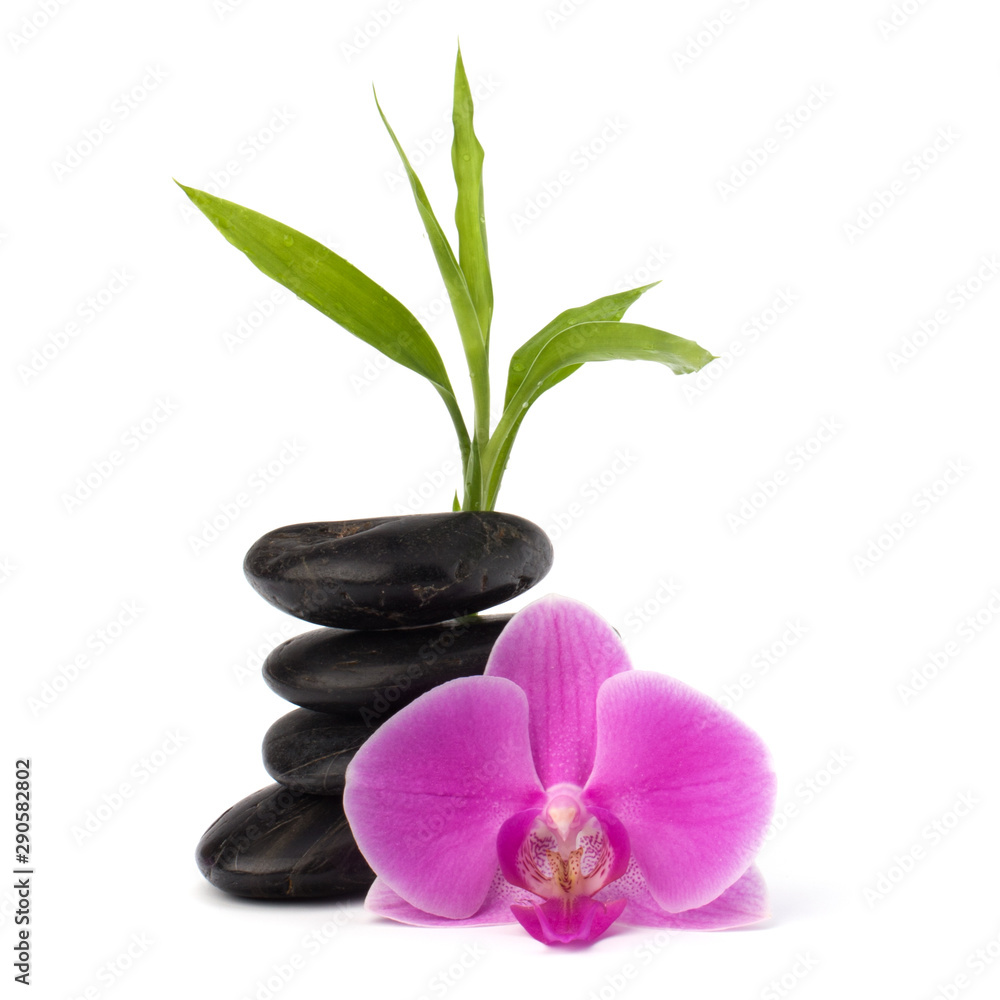 Zen pebbles balance. Spa and healthcare concept. Zen pebbles balance. Spa and healthcare concept.