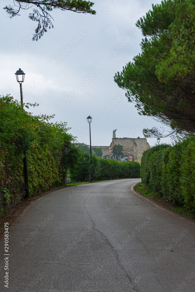 Road between walls with vegetation, trees and street lamps, in the background the cemetery of Comillas, Spain, Europe