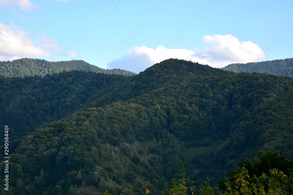 Typical landscape in the forests of Transylvania, Romania. Green landscape in the midsummer, in a sunny day Typical landscape in the forests of Transylvania, Romania. Green landscape in the midsummer, in a sunny day