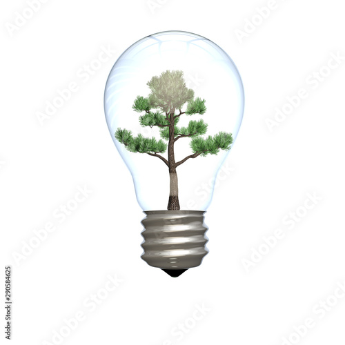 A lightbulb with a grown tree inside