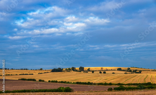 Just out of Lilley and sun spots hitting the summit of Warden Hills part of the Chilterns Bedfordshire east England photo