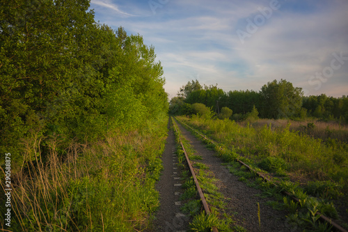 Grassy track forgotten railway among green trees perspective leading lines