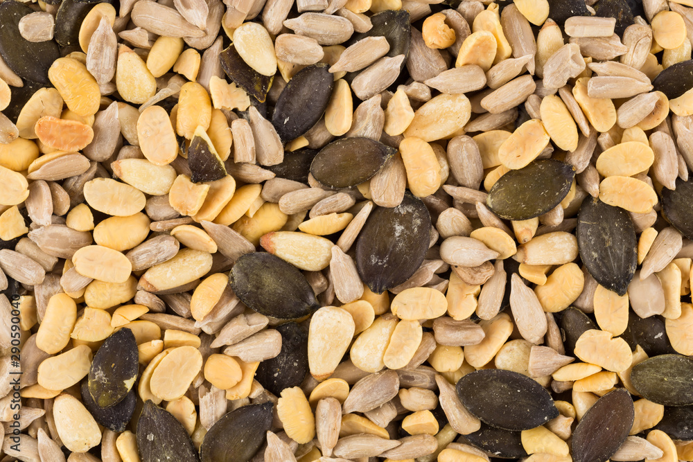 Portion of mixed seeds Portion of mixed seeds