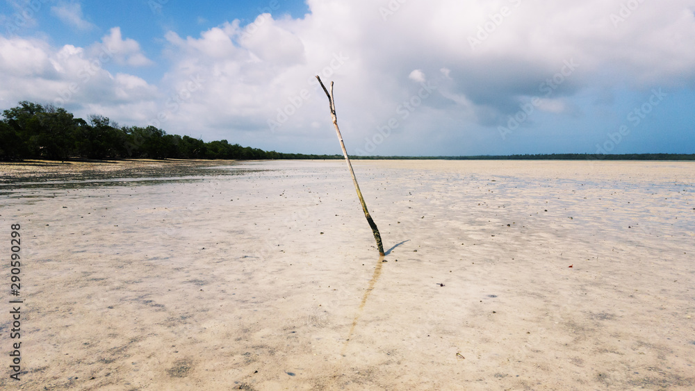 Photo of Mida Creek in Kenya, in the Watamu nature reserve: shallow water, with sand and small shells. In the middle, a wooden pole and in the background the beach with green trees.