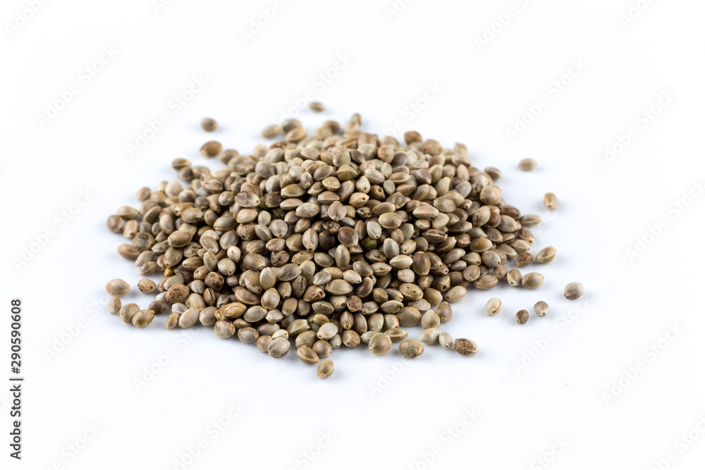 Cannabis Hemp seeds close up macro shot isolated Cannabis Hemp seeds close up macro shot isolated