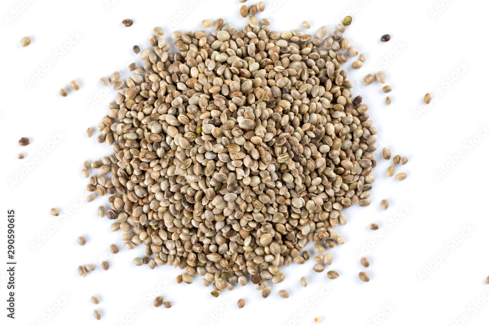 Cannabis Hemp seeds close up macro shot isolated Cannabis Hemp seeds close up macro shot isolated