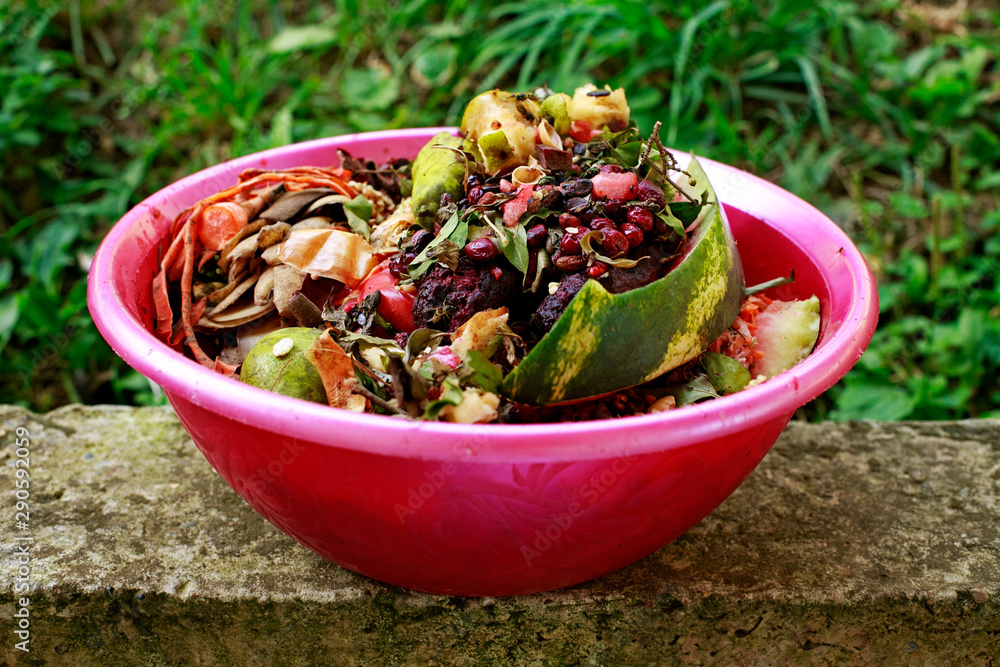 Kitchen waste collected in composting bin for recycling and organic