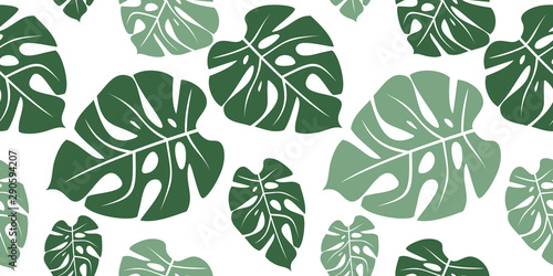 Tropical leaf monstera seamless pattern. White background with green derorativnymi plants.