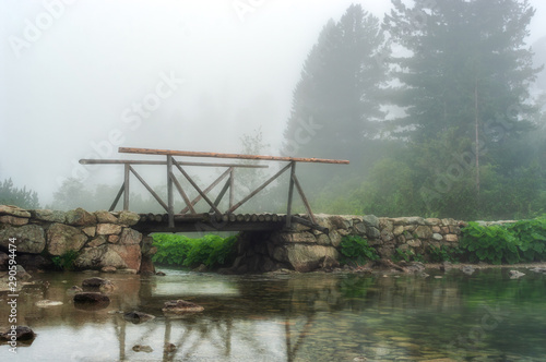 Wooden bridge High Tatras National Park, Slovakia