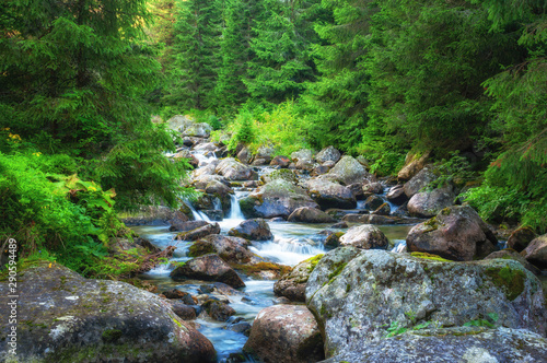 Mountain stream in High Tatras National Park  Slovakia.
