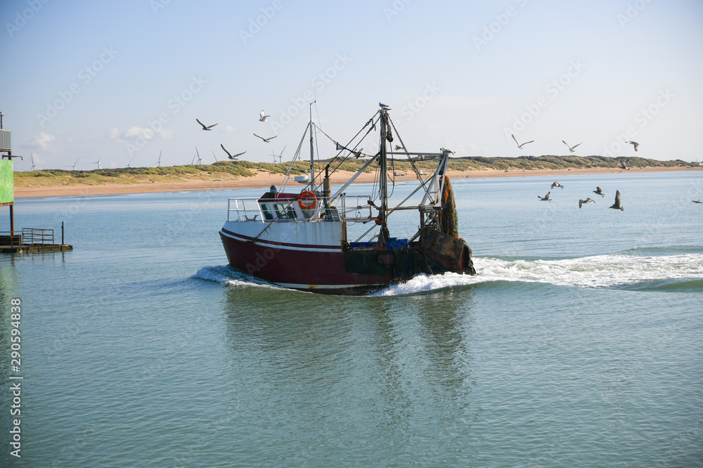 Seagulls attacking a fishing boat returning to harbour