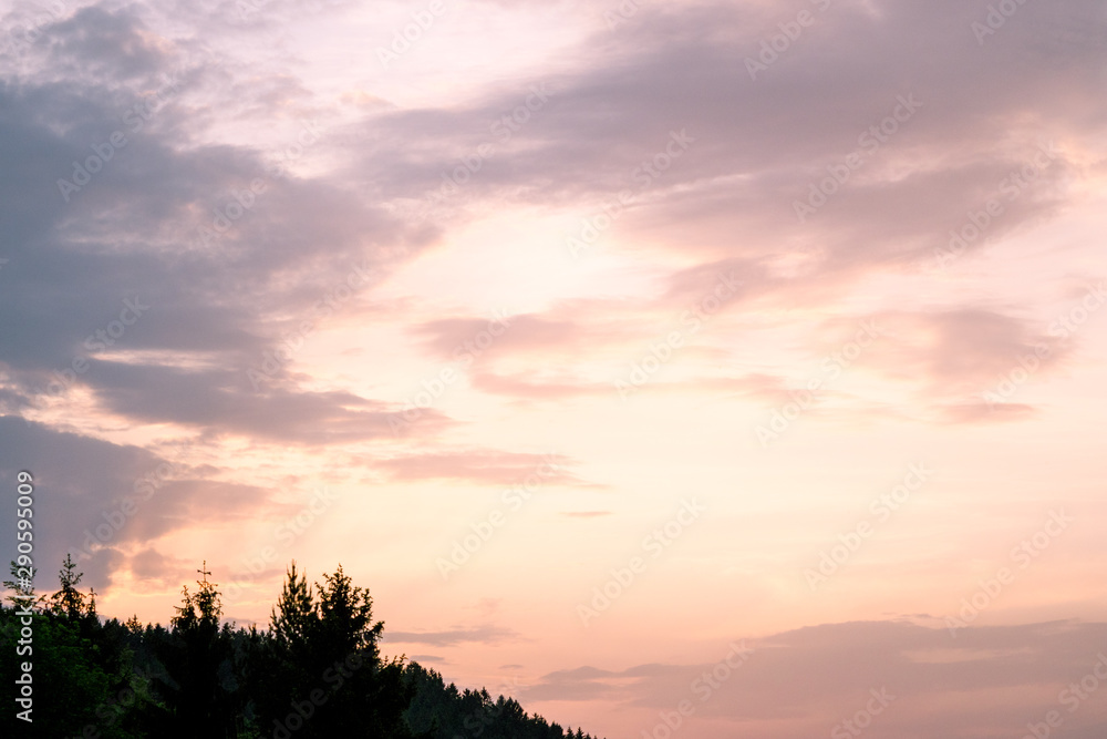 Fototapeta premium M.L.S.