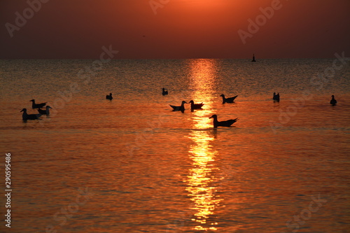 a sunrise in Mamaia resort © sebi_2569