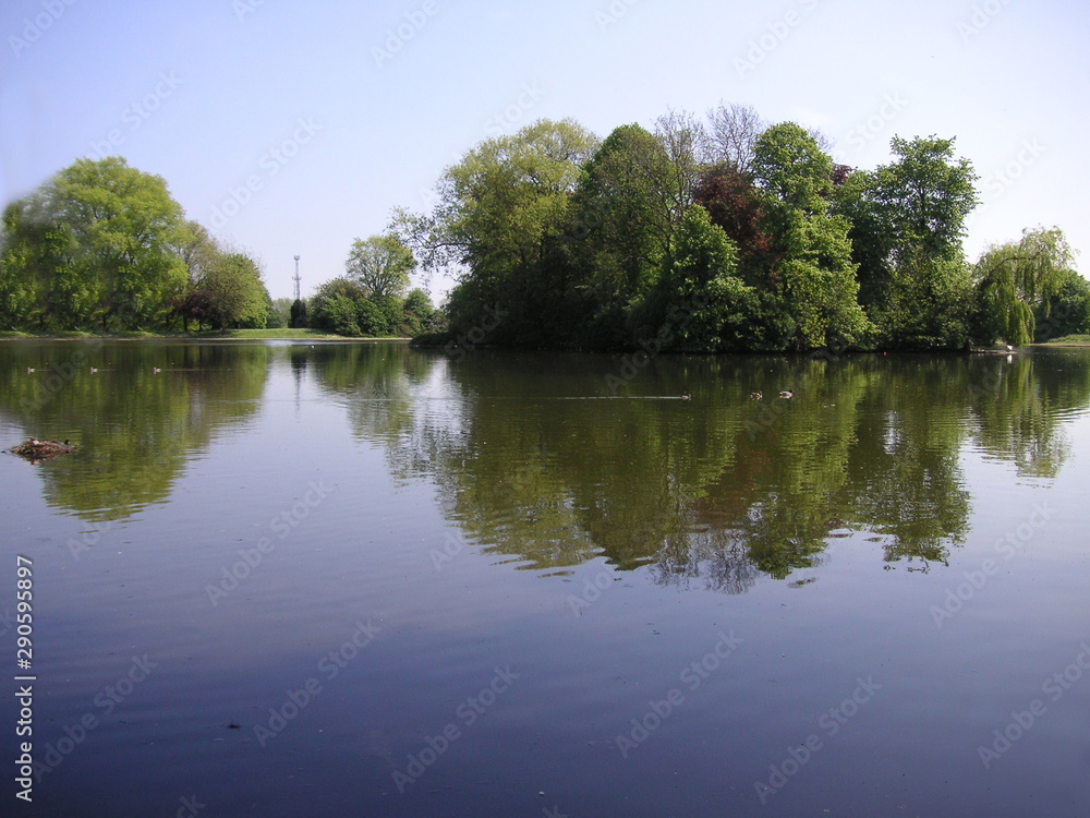 across the lake