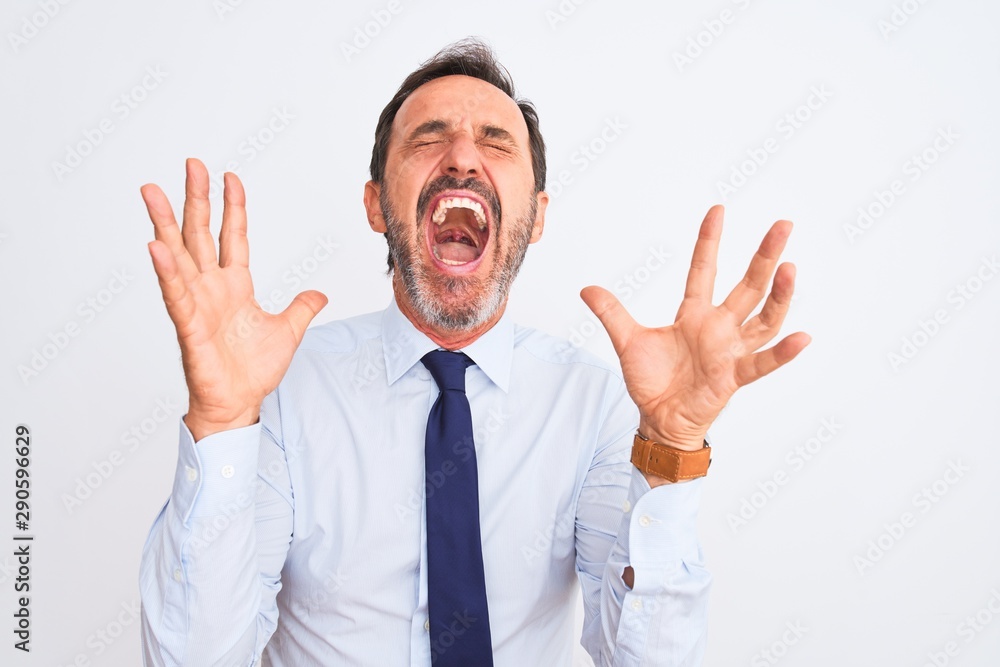 Middle age businessman wearing elegant tie standing over isolated white background celebrating mad and crazy for success with arms raised and closed eyes screaming excited. Winner concept Middle age businessman wearing elegant tie standing over isolated white background celebrating mad and crazy for success with arms raised and closed eyes screaming excited. Winner concept