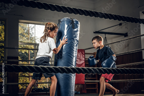 Dark photo shoot of kids training with big punching bag at boxing studio. © Fxquadro