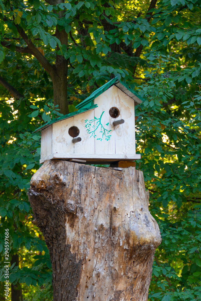 Wooden birdhouse on tree. Wooden birdhouse on the tree in public park, close up 