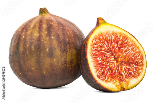 Common fig 3d rendering with realistic texture