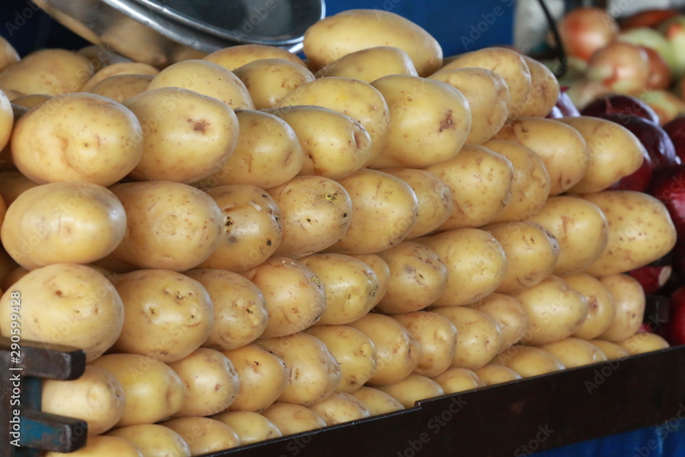 Fruta 1 Fruta 1