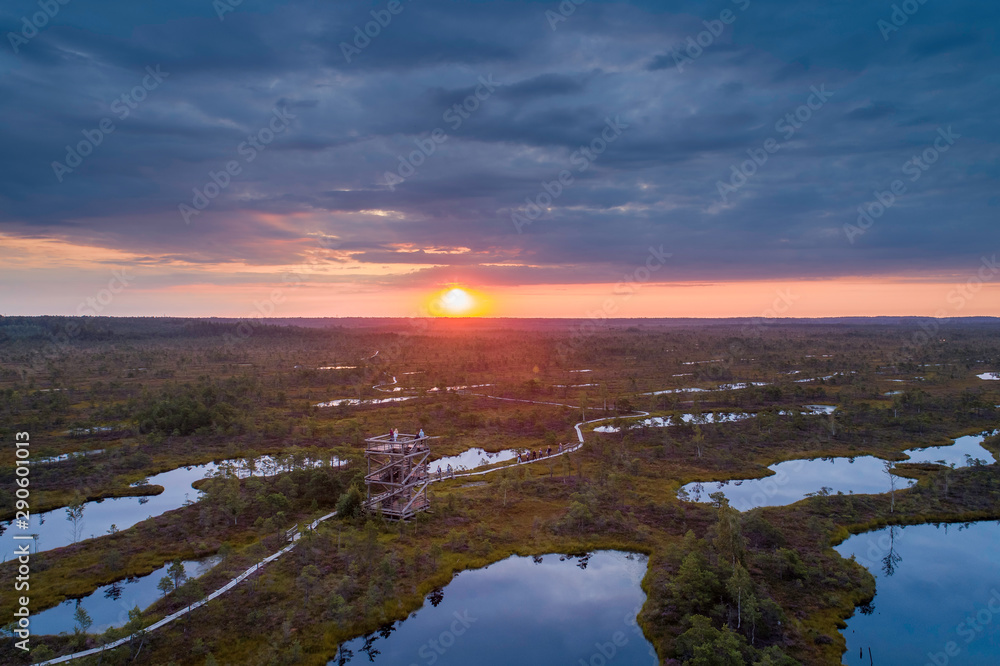 Fototapeta premium Aerial view of swamp, wooden path and wooden watchtower in Kemeri national park during sunrise. (high ISO image)