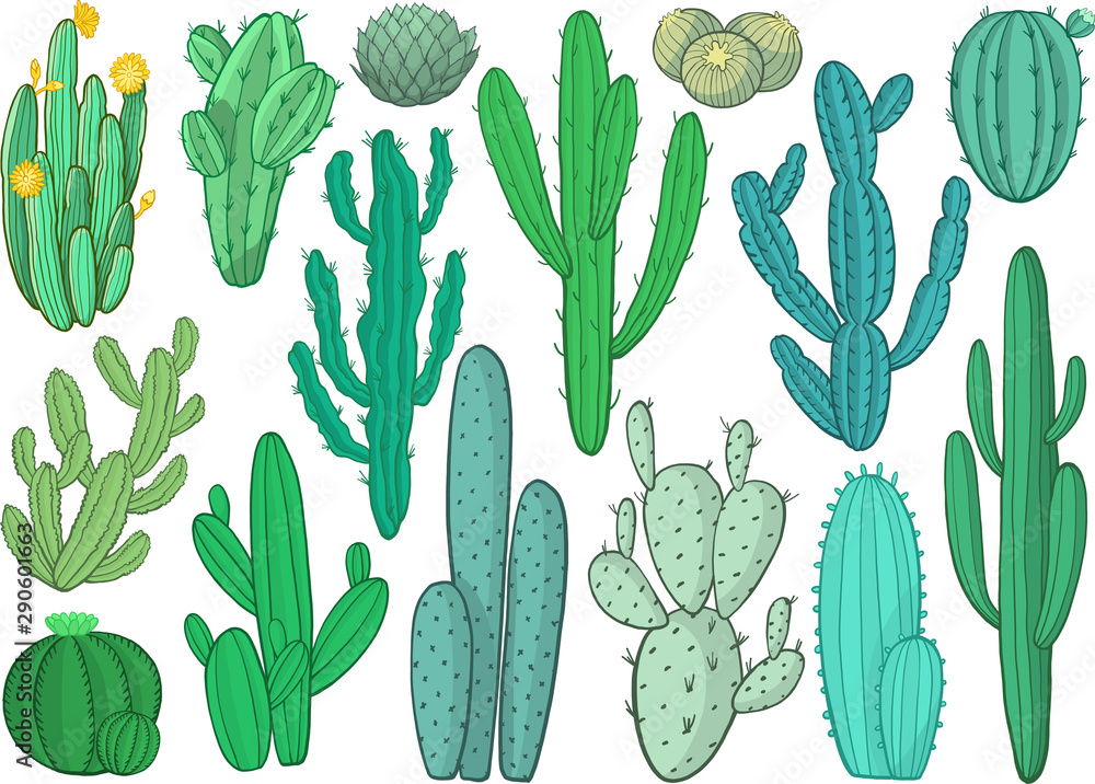 Set of cactus vector illustration Set of cactus vector illustration