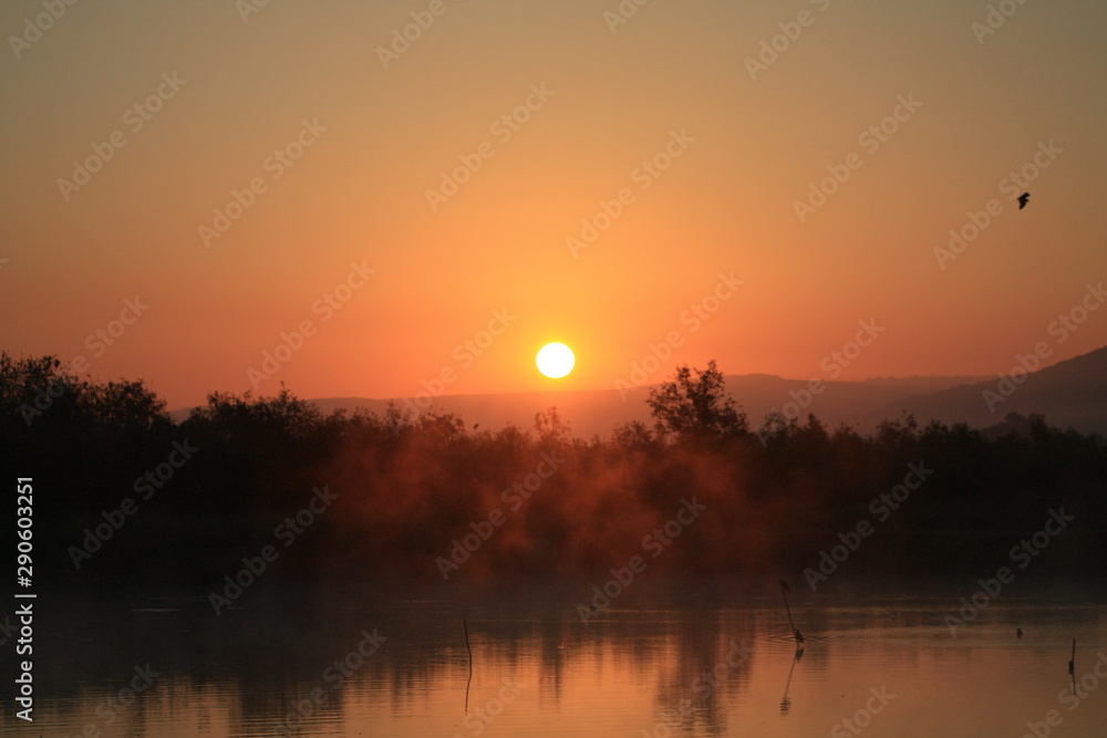 Fototapeta premium sunset on the lake