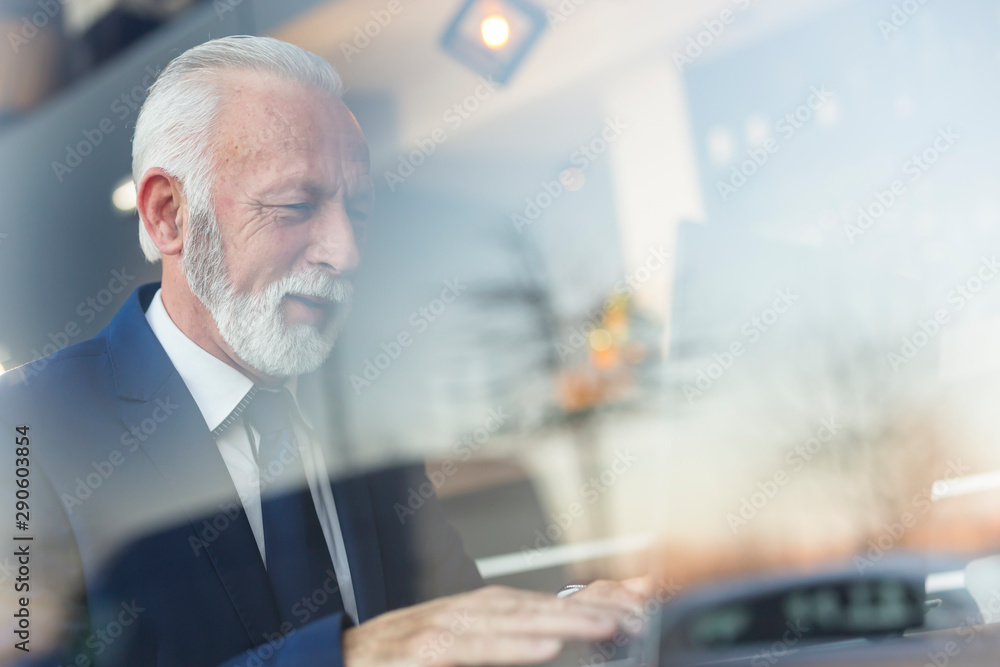 Fototapeta premium Senior businessman using a laptop computer