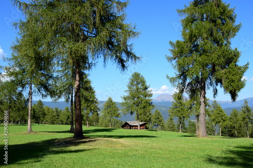 Panorama wundersch  ne Landschaft in S  dtirol - Jenesien - Salten - Almwiesen mit Almh  tte und L  rchen