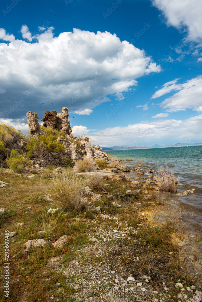 storm clouds over tufa towers and yellow flowers Mono Lake California