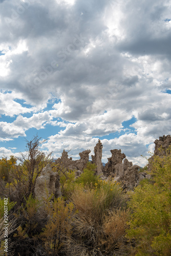 storm clouds over tufa towers and yellow flowers Mono Lake California