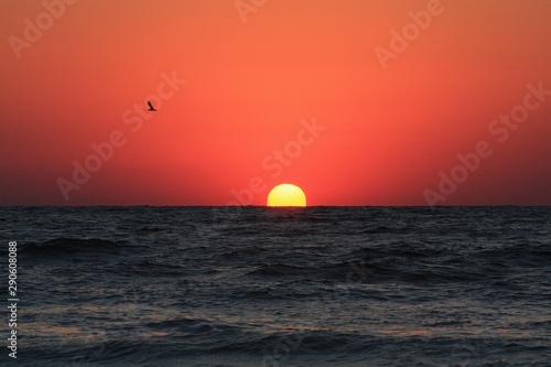 a sunrise at the seashore in red colors © sebi_2569