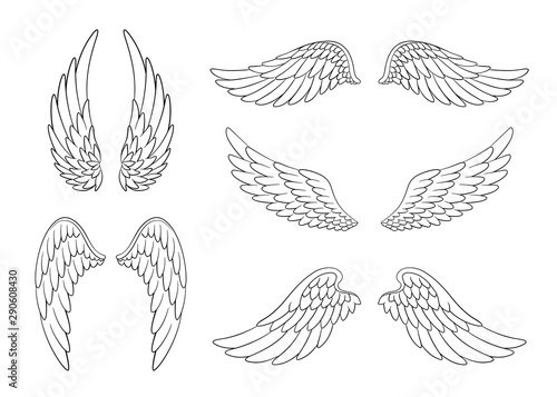 Set of hand drawn bird or angel wings of different shape in open position. Contoured doodle wings set photo
