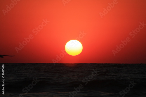 Fototapeta Naklejka Na Ścianę i Meble -  a sunrise on the beach in Eforie Nord