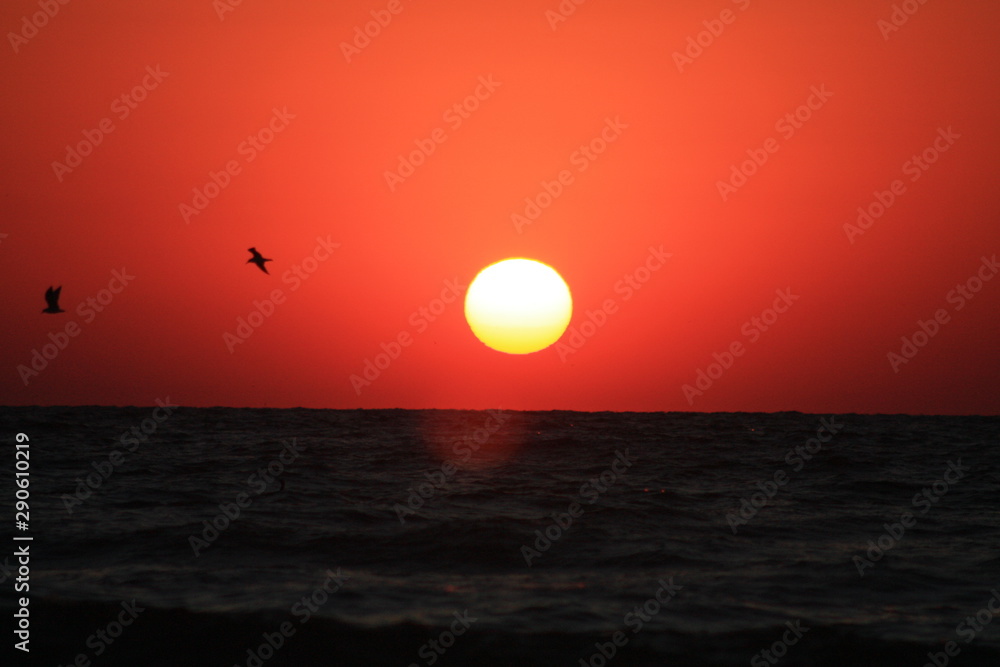 a sunrise at the seashore in red colors