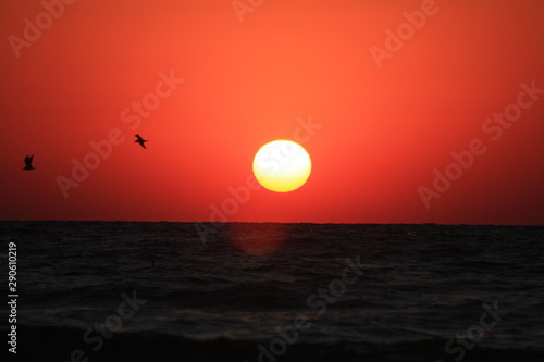 Fototapeta Naklejka Na Ścianę i Meble -  a sunrise at the seashore in red colors