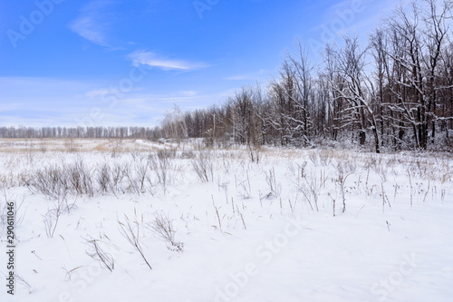 Winter landscape. Snowy field, trees and beautiful blue sky. Winter panorama.