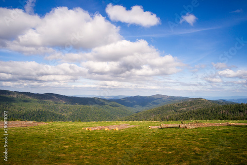 Fototapeta Naklejka Na Ścianę i Meble -  Dolina Kamienicy, Gorce