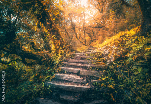 Stone steps in beautiful ol...
