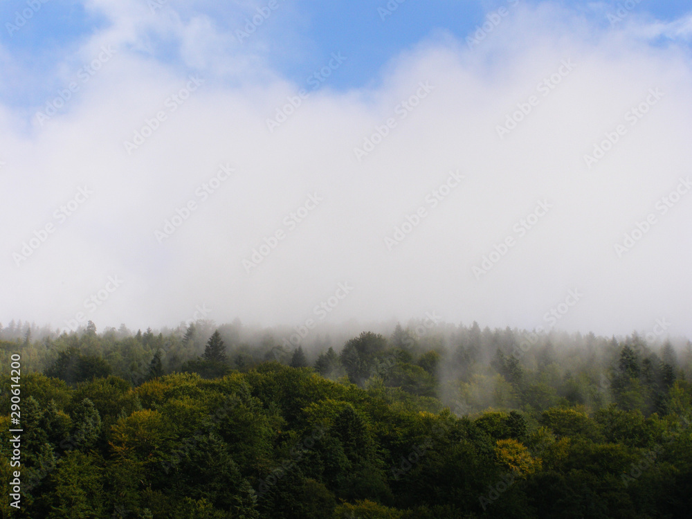 Forest mountain in the fog. Blue sky.