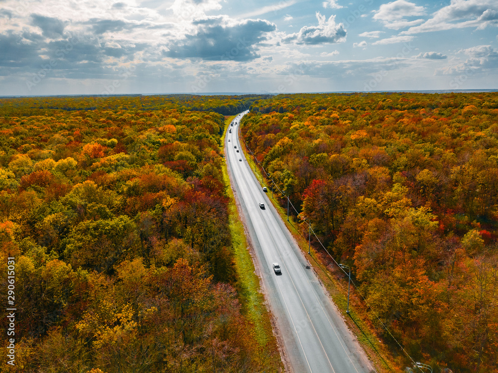Road in autumn forest, cloudy sky, aerial view