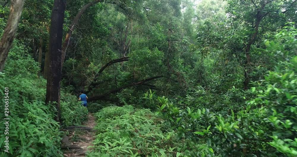 Aerial view of sportswoman ultramarathon runner running in tropical rainforest ,jumping over fallen tree logs Aerial view of sportswoman ultramarathon runner running in tropical rainforest ,jumping over fallen tree logs