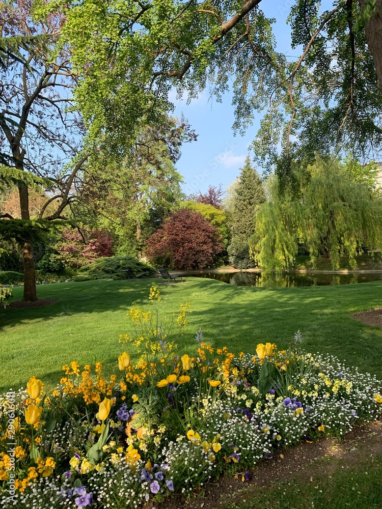 Obraz premium Park