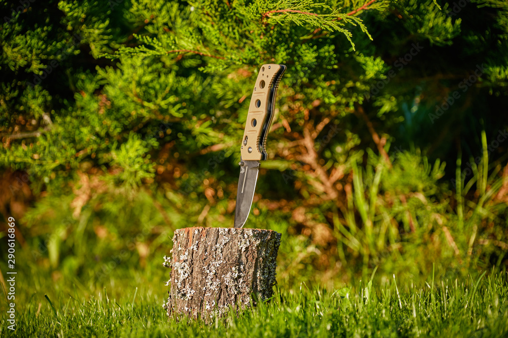 Obraz premium Folding knife on a stump on a background of grass