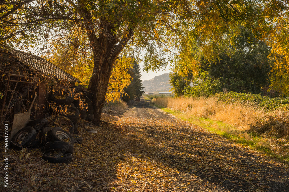 Abandoned tires next to a dirt road covered by tree shadows in Maryhill