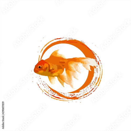 koi golden fish illustration