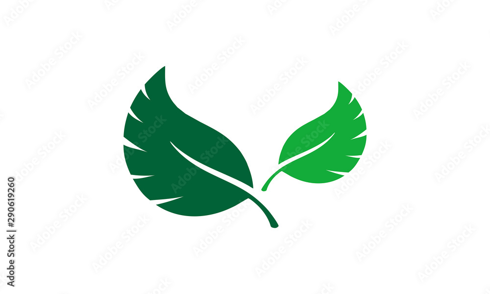 simple leaf vector