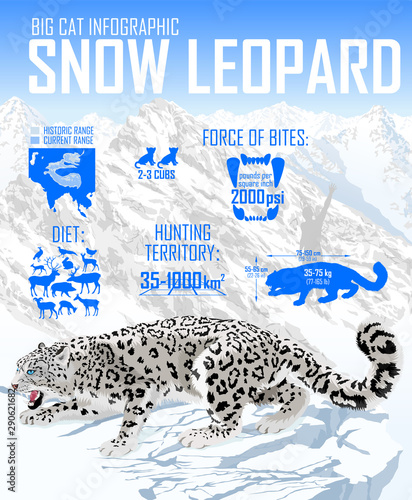 Vector rsnow leopard infographic