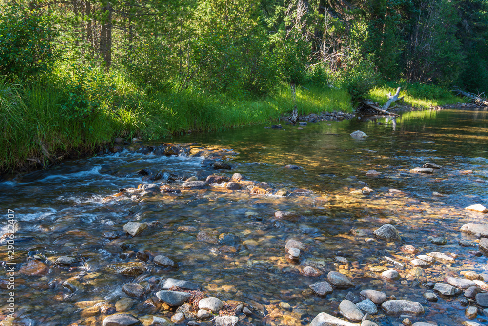 Rocky Mountain National Park shaded landscape of a stream, grass and trees Rocky Mountain National Park shaded landscape of a stream, grass and trees